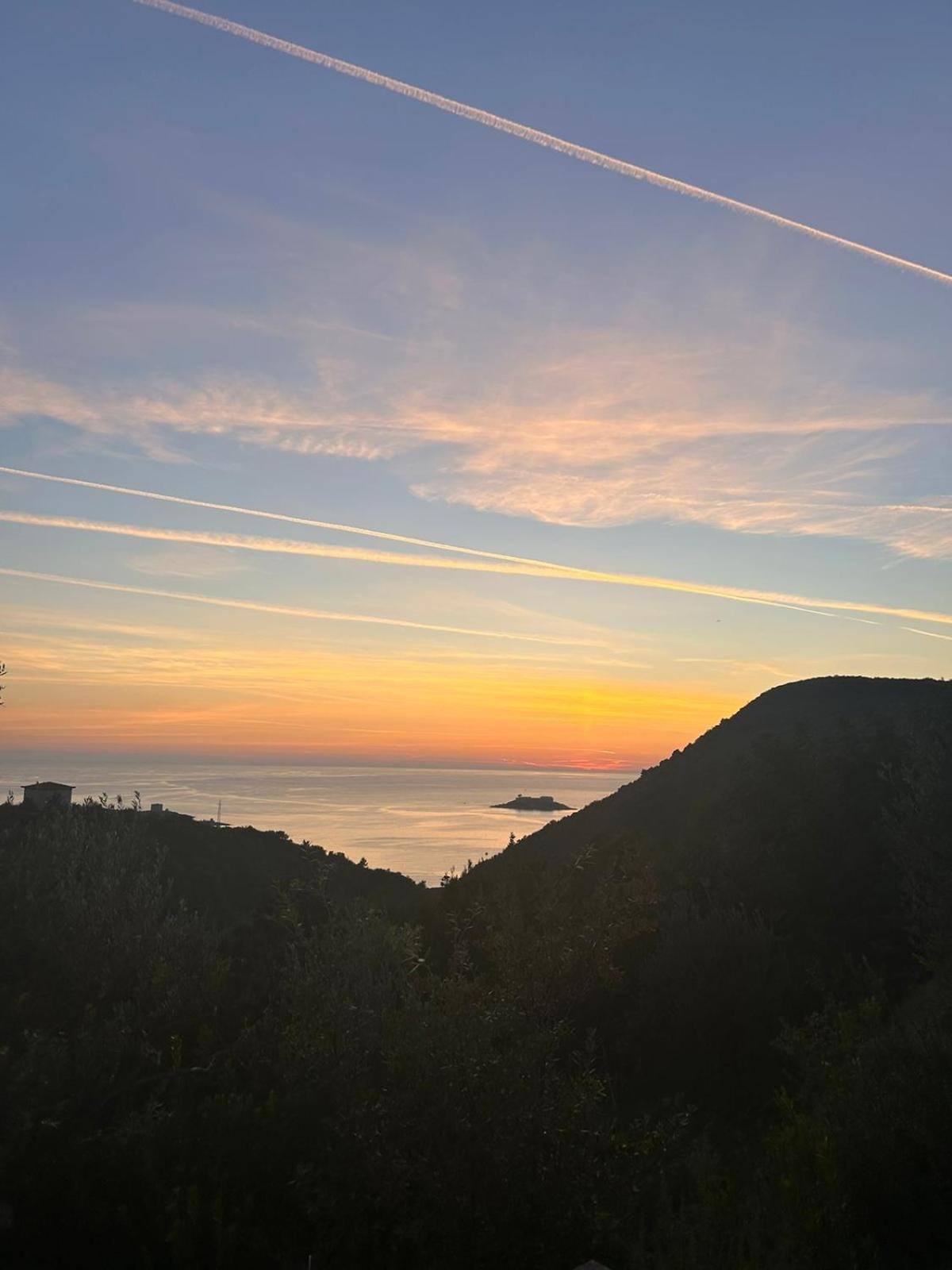 Mongoose * Herceg Novi